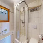 In Thyon-les Collons Chalet
