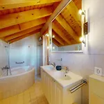 In Thyon-les Collons Chalet