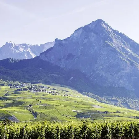 Alpstuga In Thyon-les Collons *