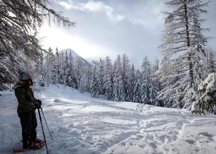 In Thyon-les Collons Dağ evi Les Collons