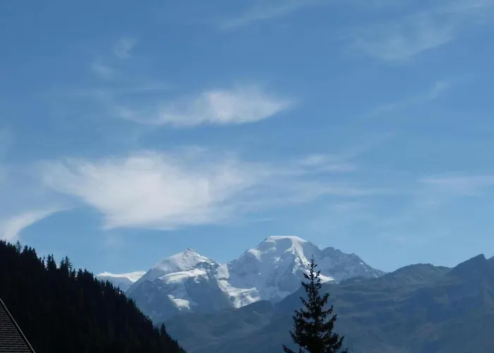 In Thyon-les Collons Chalet